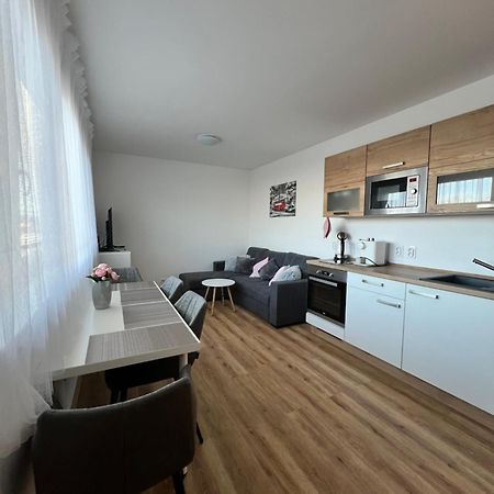 Apartman Roda2 Male Lipno Černá v Pošumaví Exterior foto